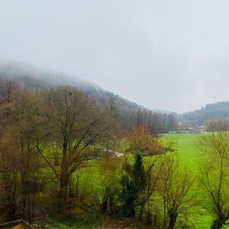 Le Ranch Des Aguesses Villa Andenne Bagian luar foto