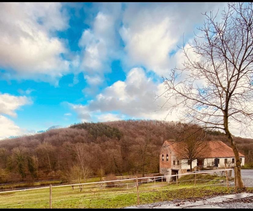 Le Ranch Des Aguesses Villa Andenne Bagian luar foto