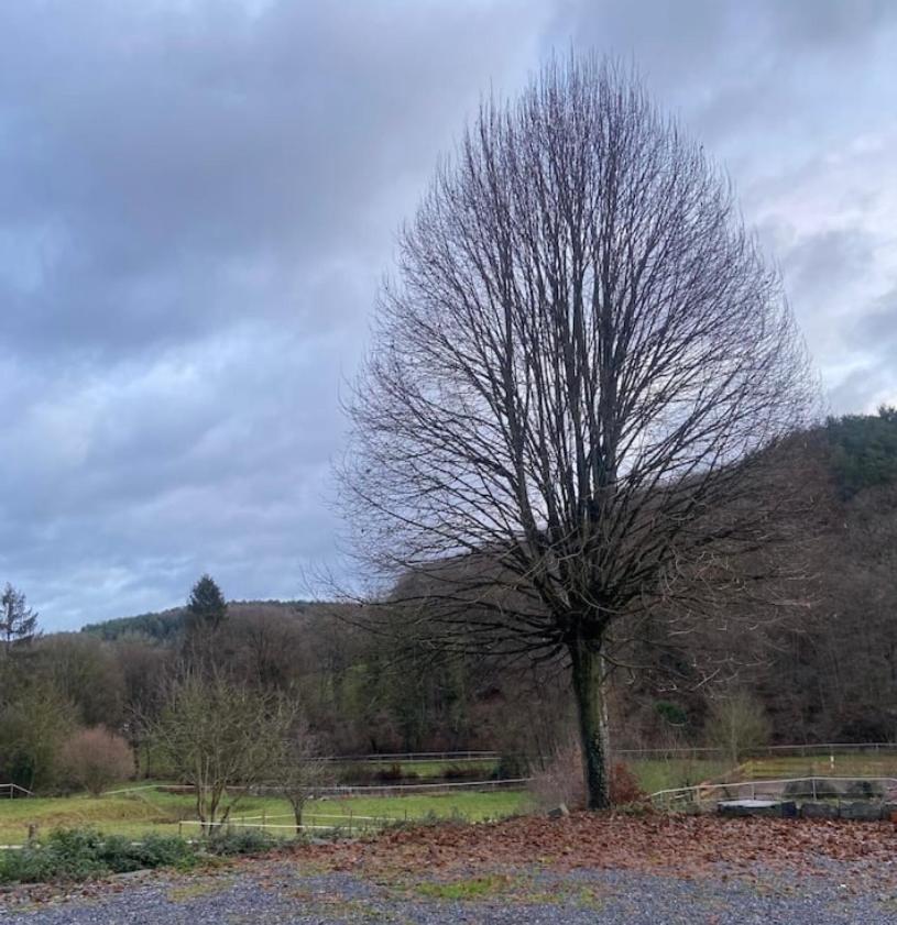Le Ranch Des Aguesses Villa Andenne Bagian luar foto