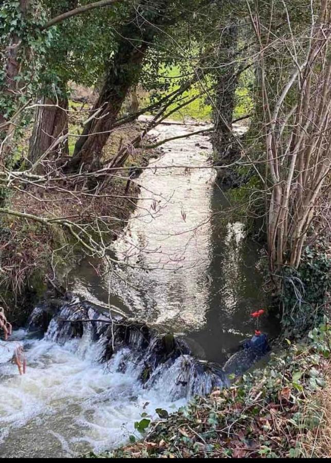 Le Ranch Des Aguesses Villa Andenne Bagian luar foto