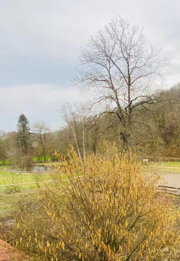 Le Ranch Des Aguesses Villa Andenne Bagian luar foto