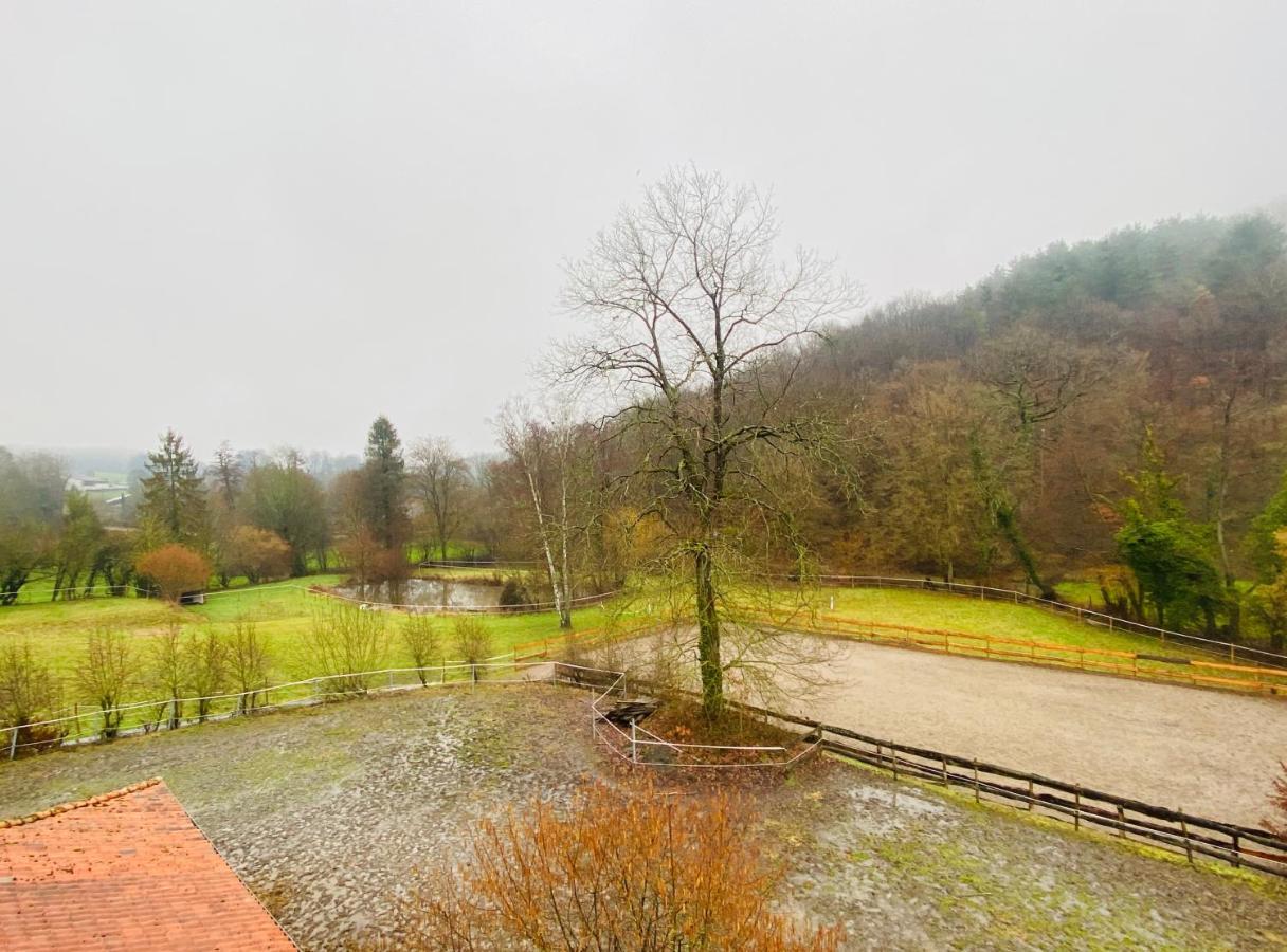 Le Ranch Des Aguesses Villa Andenne Bagian luar foto