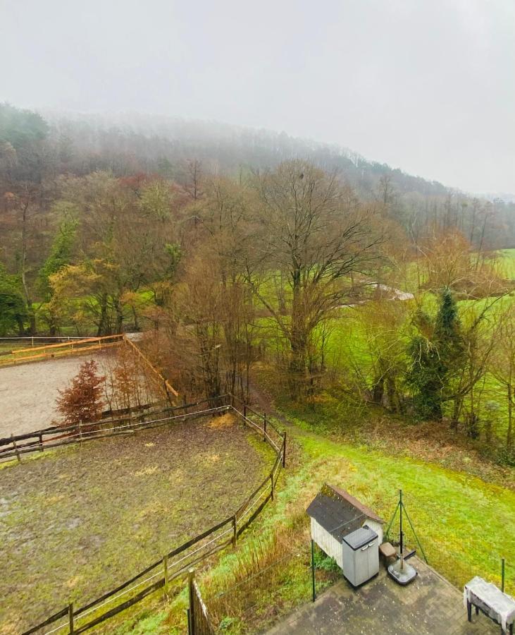 Le Ranch Des Aguesses Villa Andenne Bagian luar foto