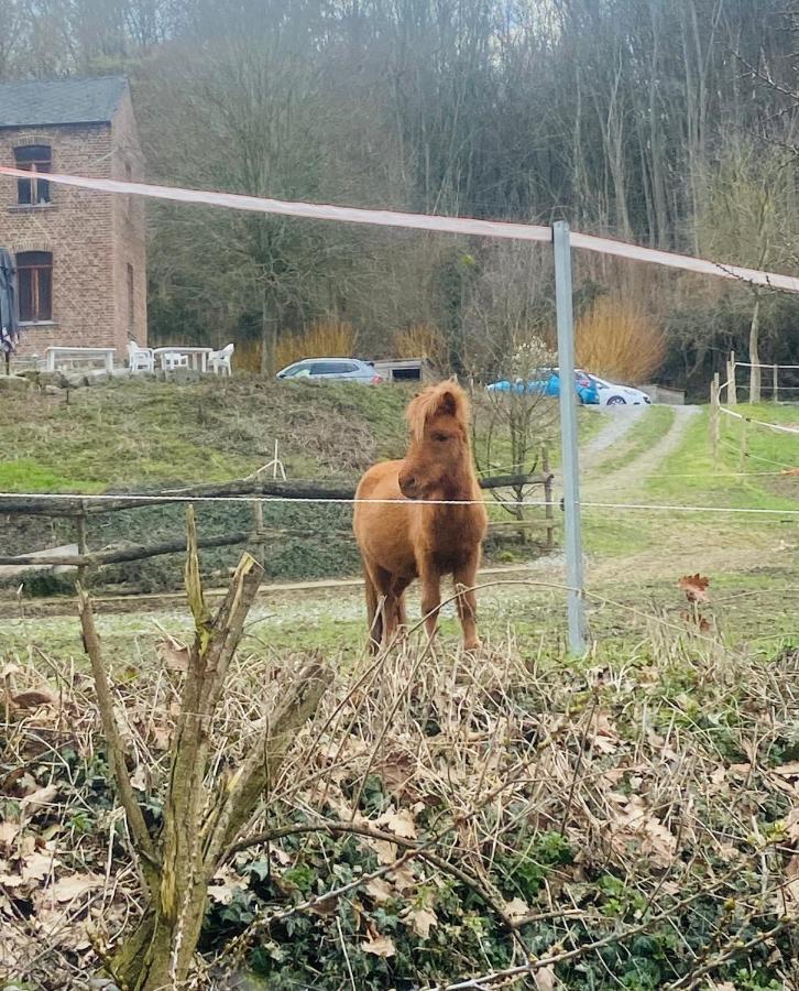 Le Ranch Des Aguesses Villa Andenne Bagian luar foto
